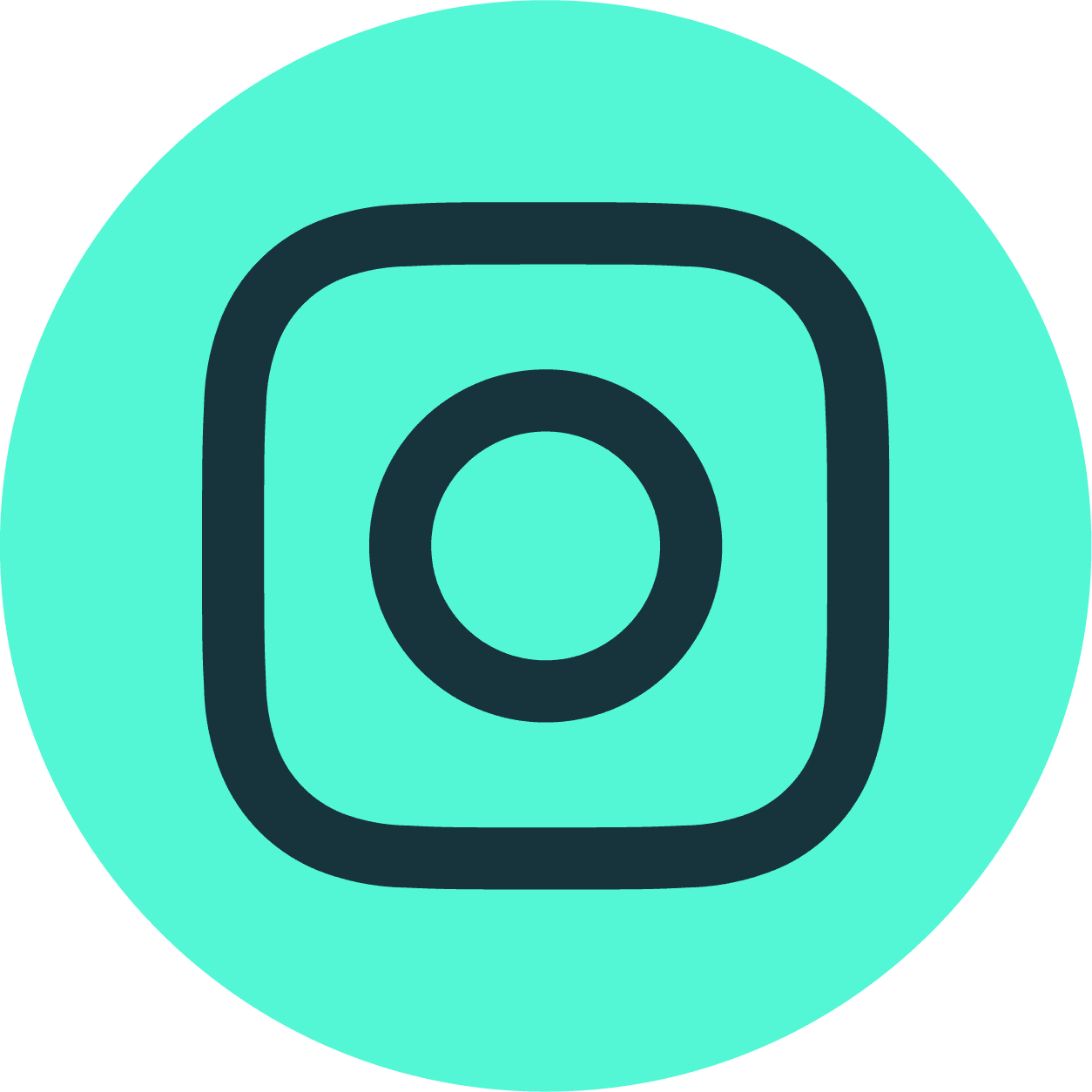 Instagram Logo Link